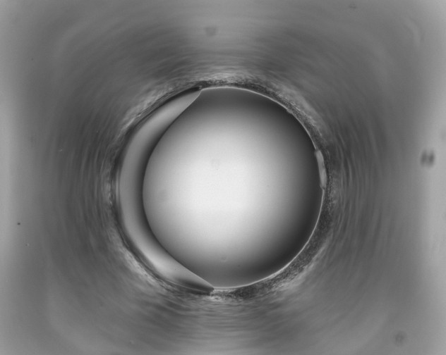 X0000091990585200709131456