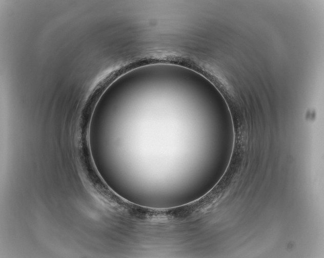 X0000091990587200709131455