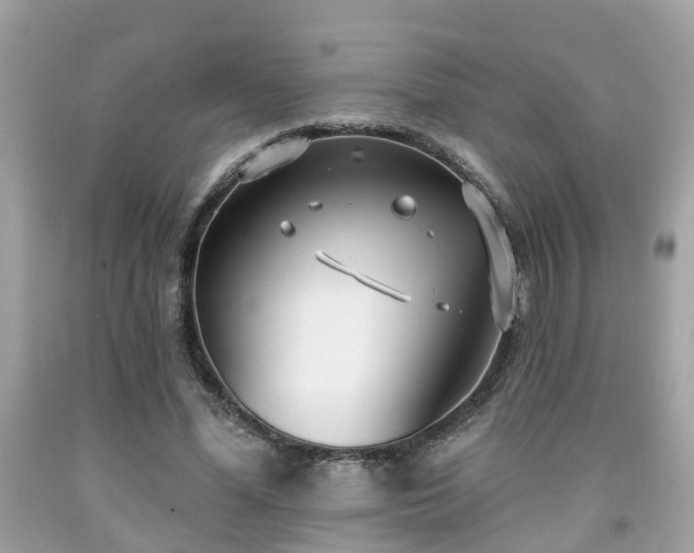 X0000091990588200709131455