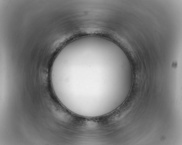 X0000091990592200709131455