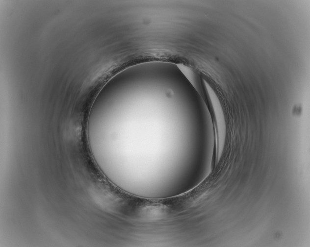 X0000091990595200709131455