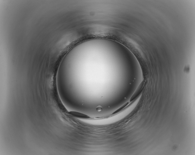 X0000091990596200709131455