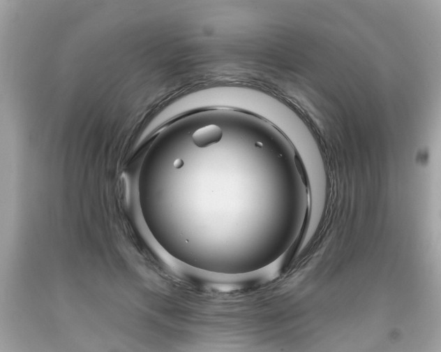 X0000091990597200709131455