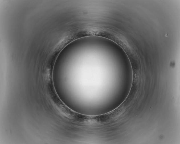 X0000091990598200709131455
