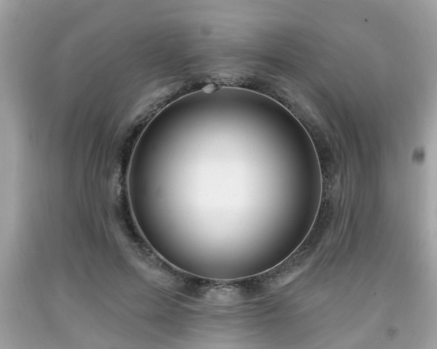 X0000091990599200709131455
