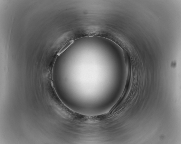 X0000091990601200709131455