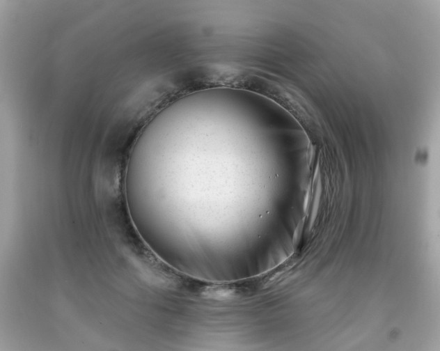 X0000091990602200709131455