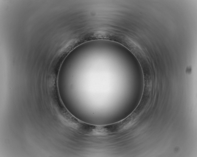X0000091990603200709131455