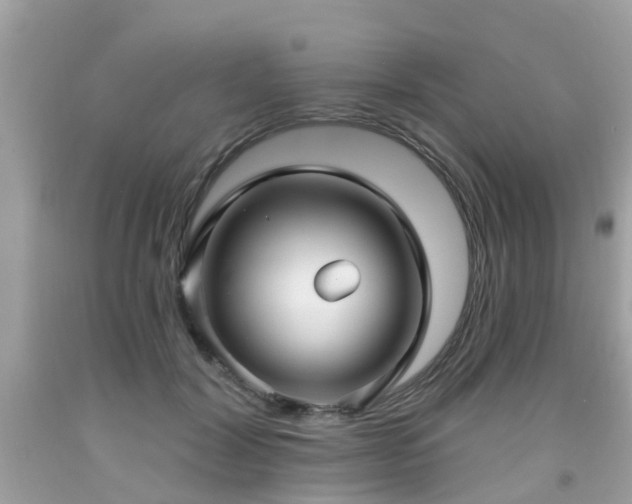 X0000091990604200709131455