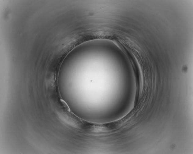 X0000091990605200709131455