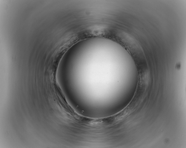 X0000091990606200709131455