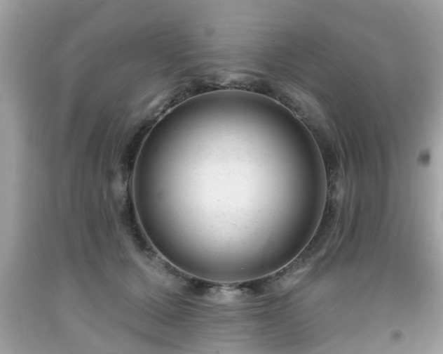 X0000091990607200709131455
