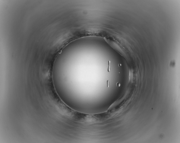 X0000091990608200709131455