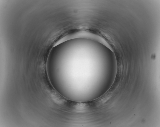 X0000091990609200709131455
