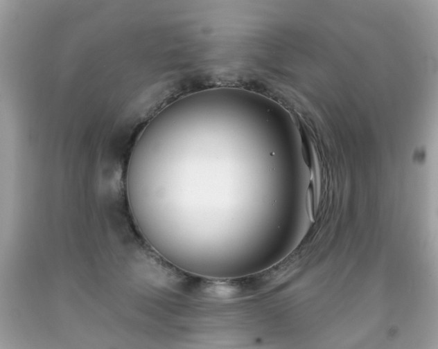 X0000091990610200709131455