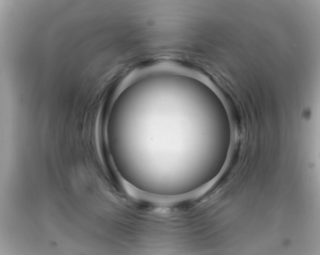 X0000091990611200709131455