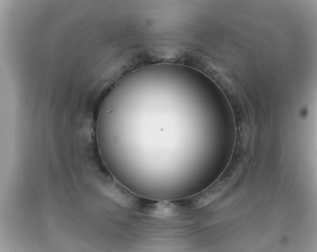 X0000091990612200709131455