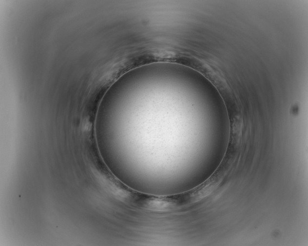 X0000091990614200709131455