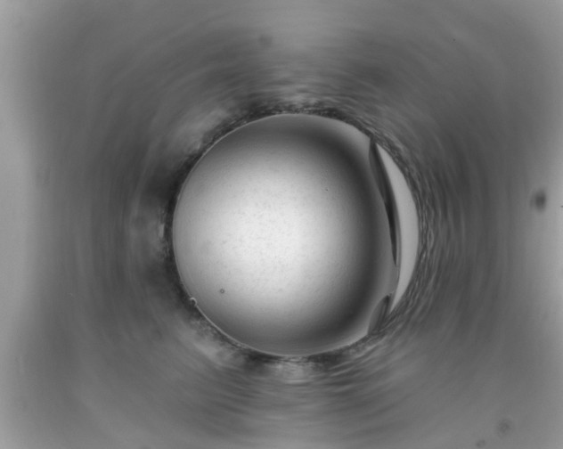 X0000091990615200709131455