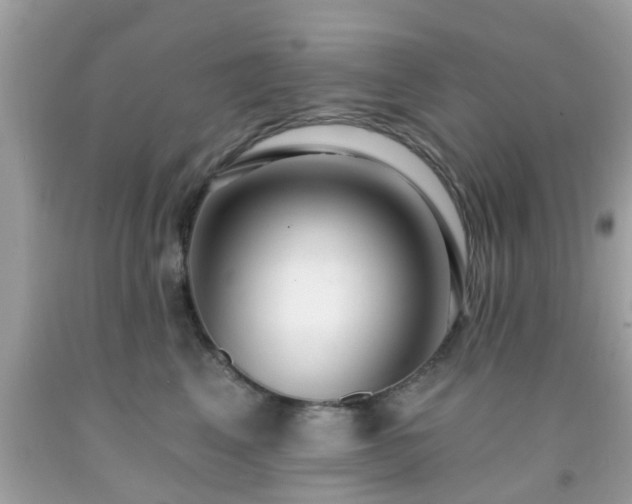 X0000091990617200709131455