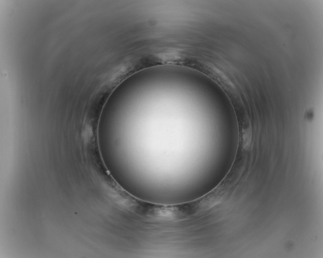 X0000091990618200709131455