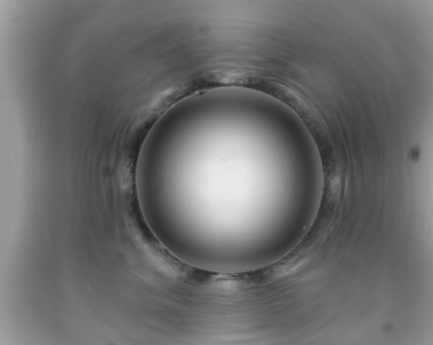 X0000091990620200709131455