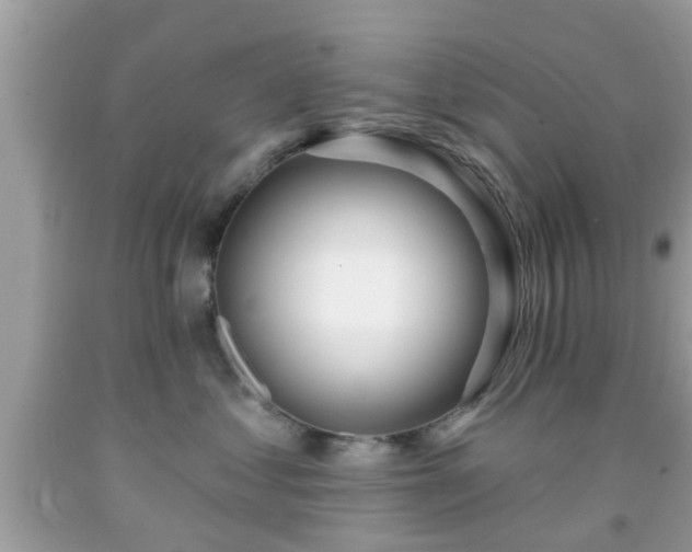 X0000091990621200709131455