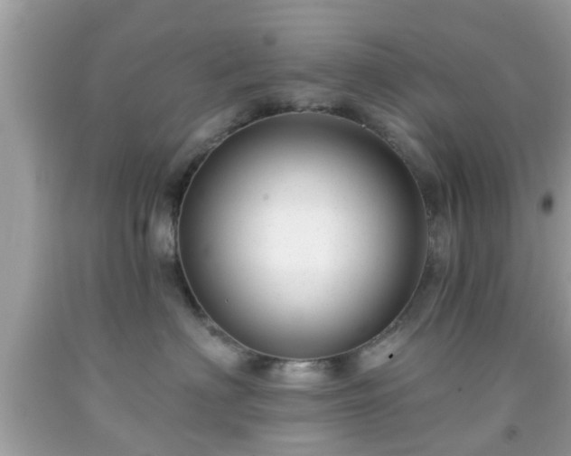 X0000091990622200709131455