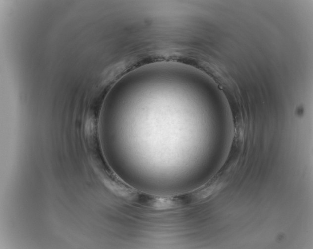 X0000091990623200709131455