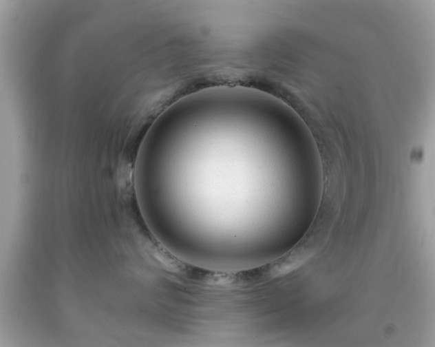 X0000091990624200709131455