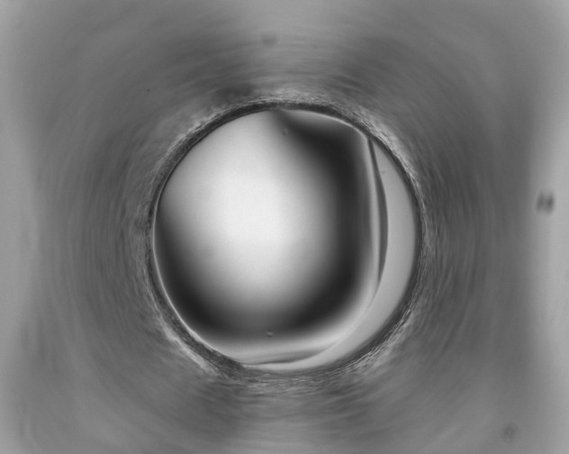 X0000091990625200709131454