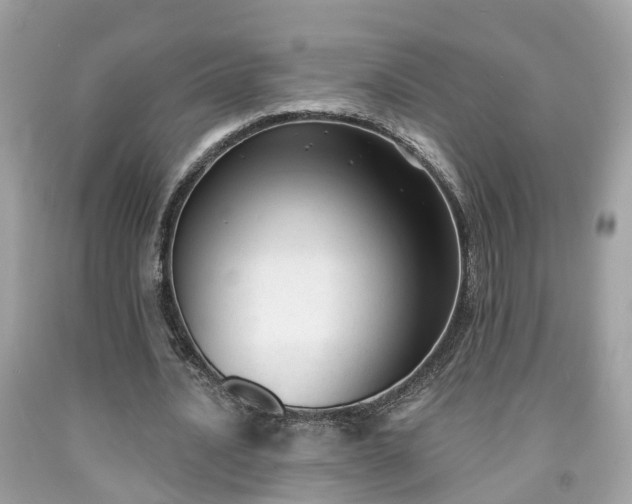 X0000091990628200709131454
