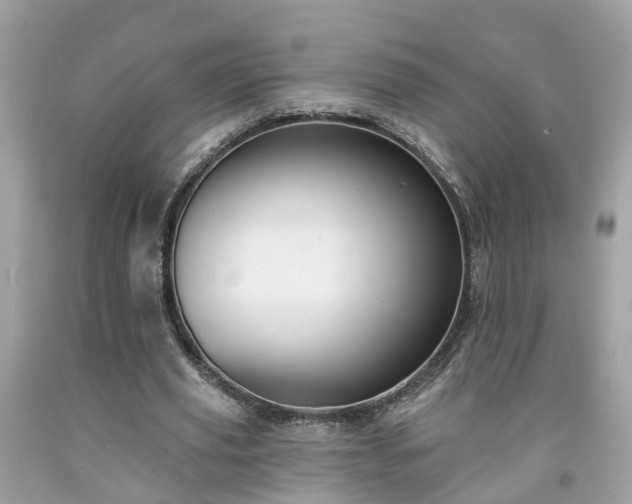 X0000091990629200709131454