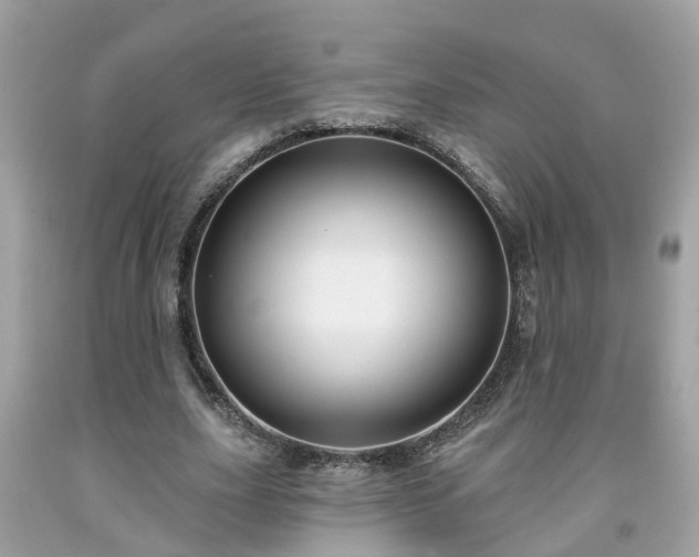 X0000091990631200709131454