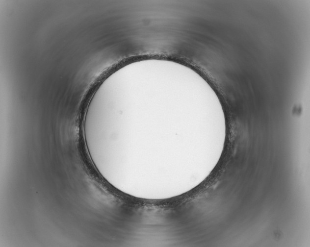 X0000091990632200709131454