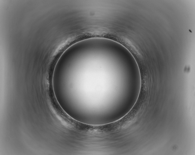 X0000091990634200709131454