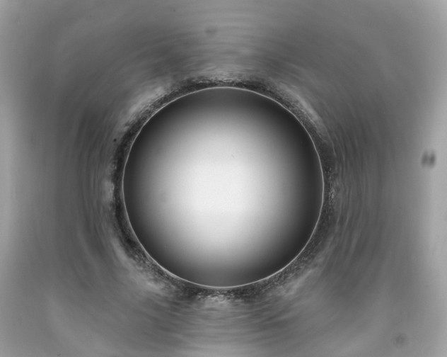 X0000091990635200709131454