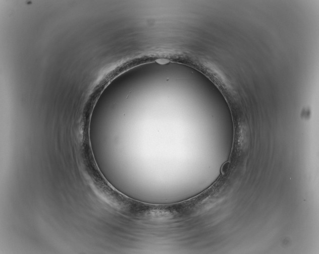 X0000091990636200709131454