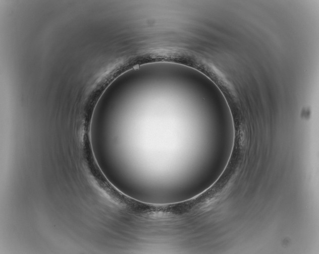 X0000091990637200709131454