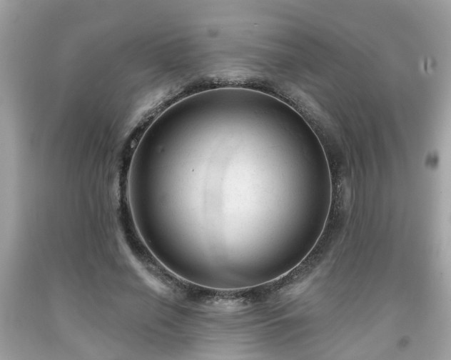 X0000091990638200709131454