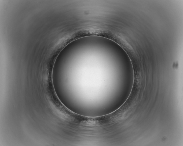 X0000091990639200709131454