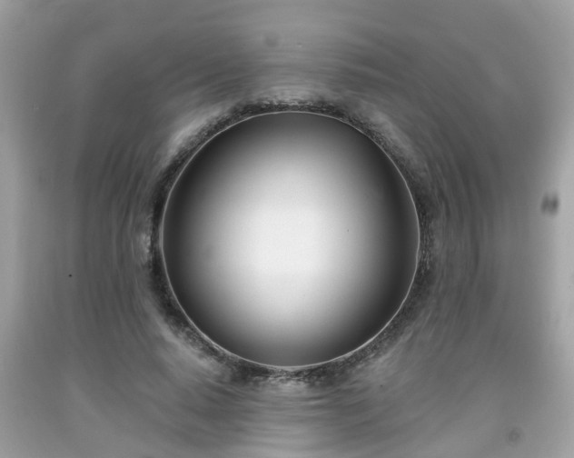 X0000091990640200709131454