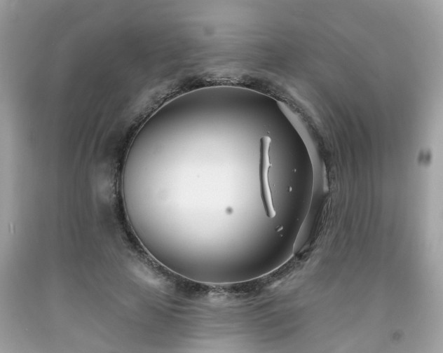 X0000091990641200709131454
