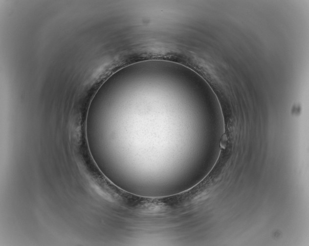 X0000091990642200709131454