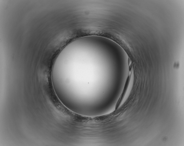 X0000091990643200709131454