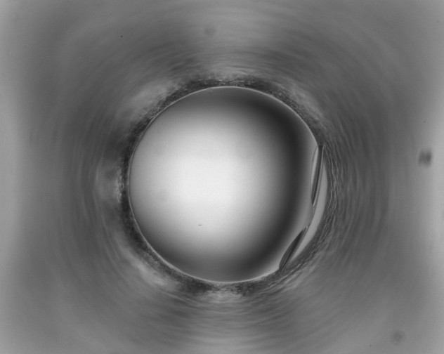 X0000091990644200709131454