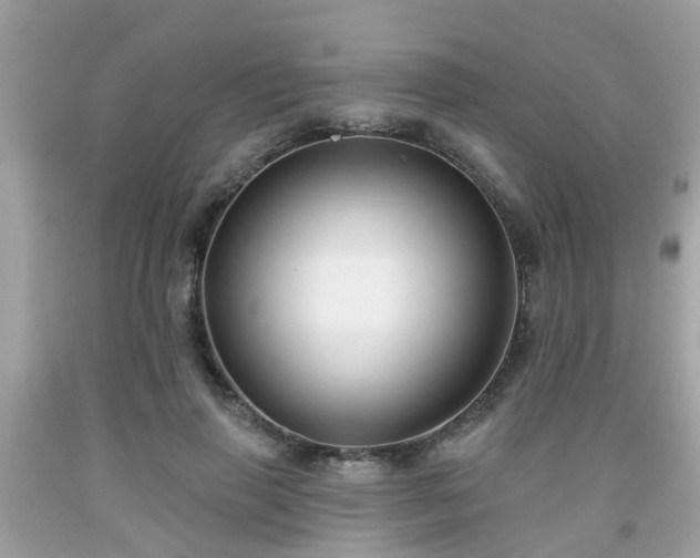 X0000091990645200709131454
