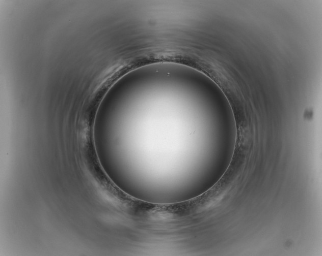 X0000091990648200709131454