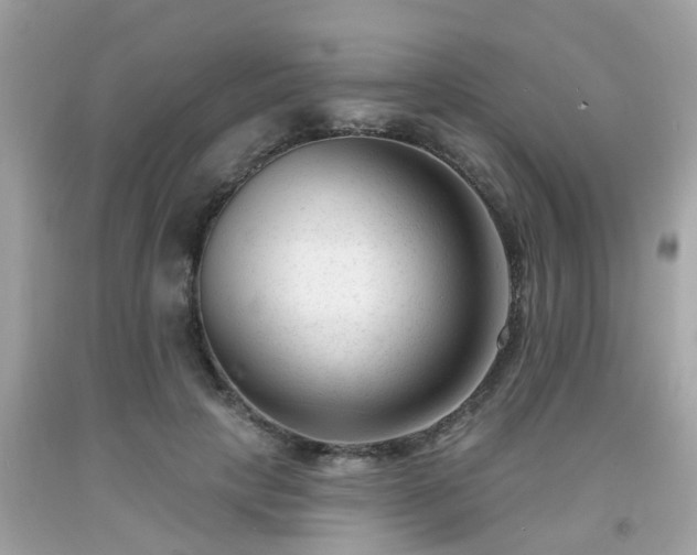 X0000091990649200709131454