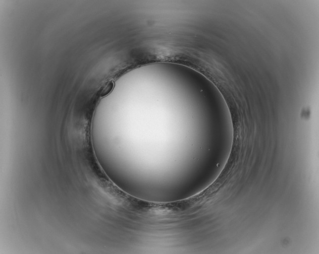 X0000091990650200709131454